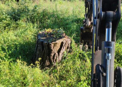 Bio Thop Paysage (4)