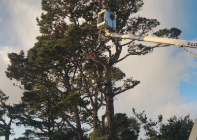 Bio Thop Paysage (7)